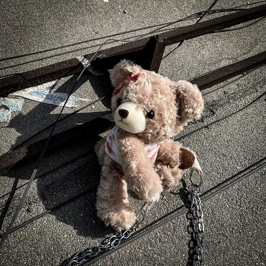 Cute Plush Bear Shoulder Bag for Women (2020 Collection)