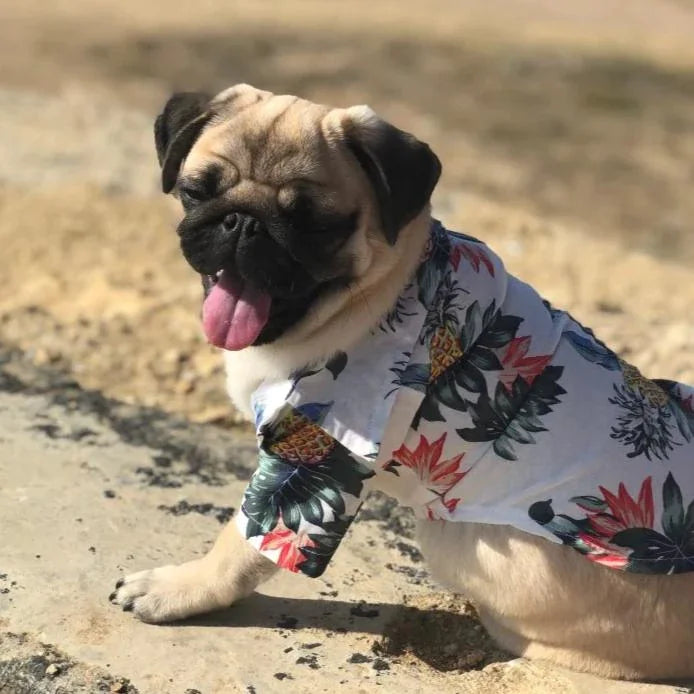 Spring Style Canine Cotton Shirt