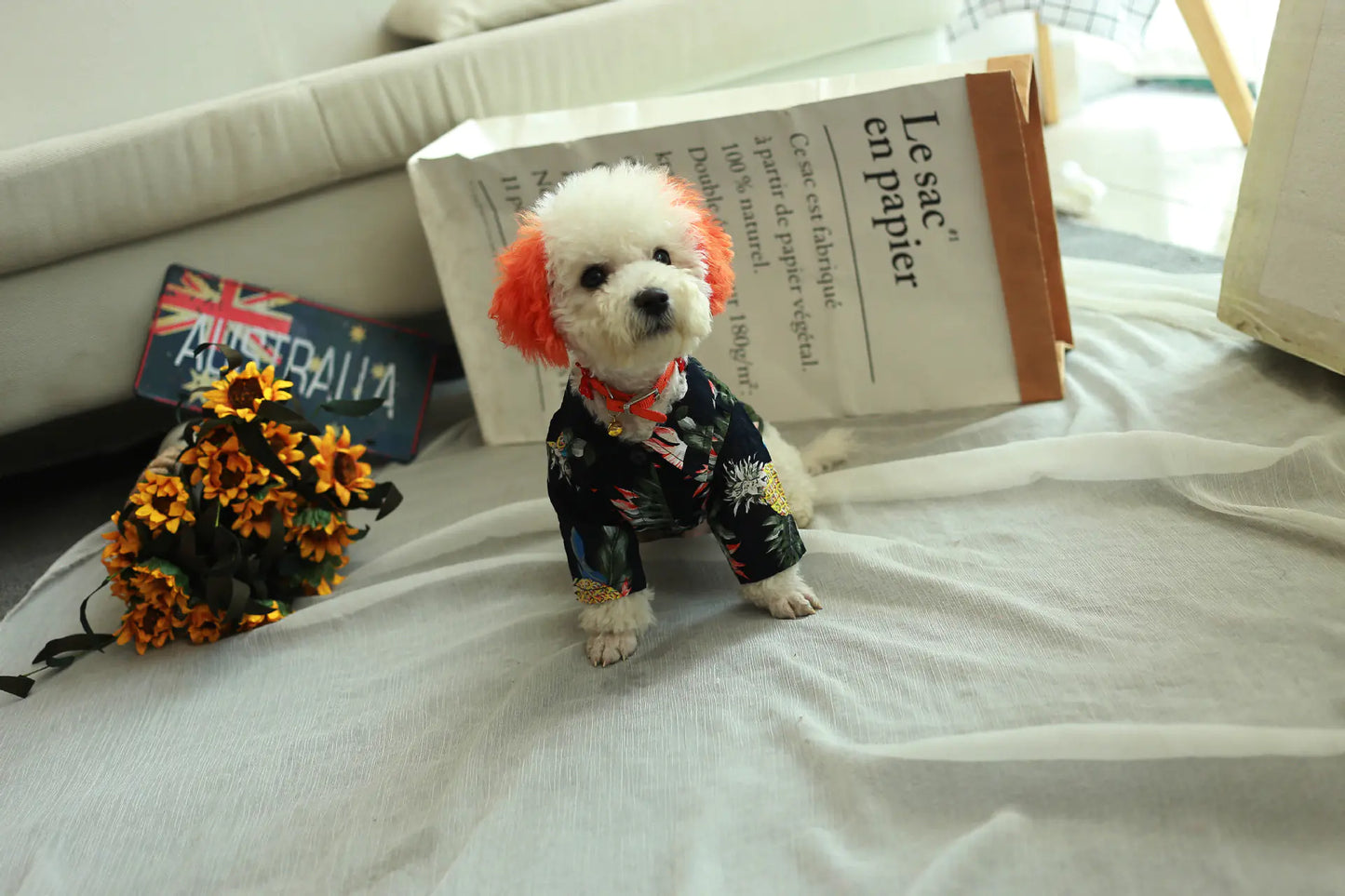 Spring Style Canine Cotton Shirt