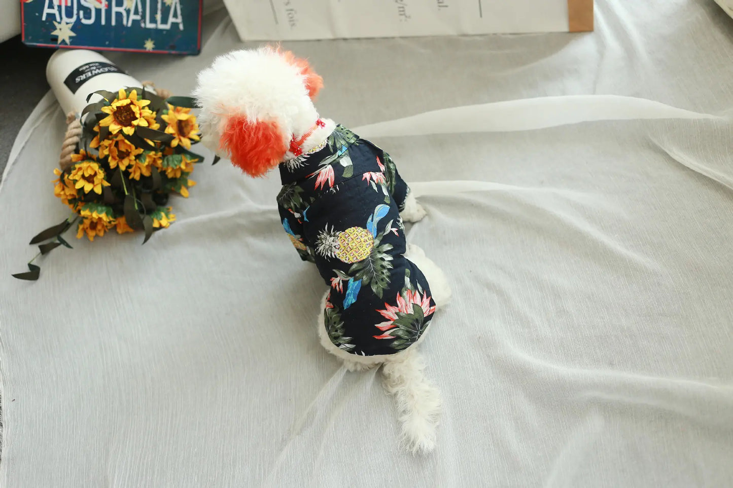Spring Style Canine Cotton Shirt
