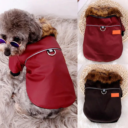 Glowing Luxe Pet Coat with Fur Collar